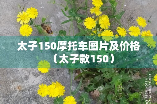 太子150摩托车图片及价格（太子款150）