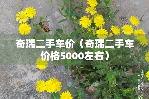 奇瑞二手车价（奇瑞二手车价格5000左右）