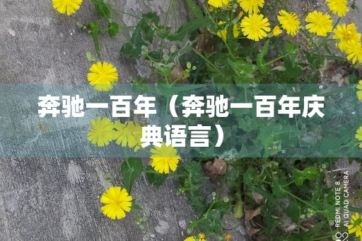 奔驰一百年（奔驰一百年庆典语言）