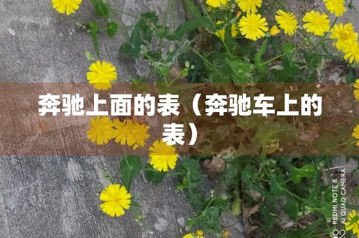 奔驰上面的表（奔驰车上的表）