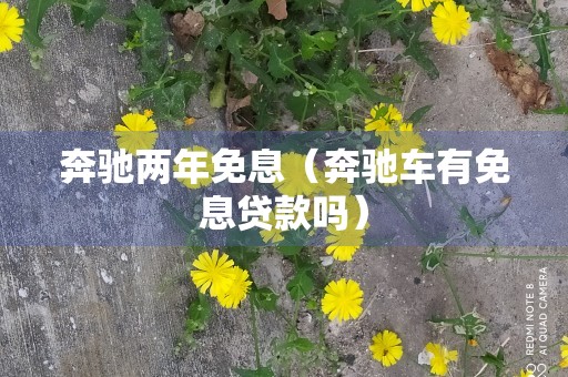 奔驰两年免息（奔驰车有免息贷款吗）