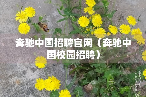 奔驰中国招聘官网（奔驰中国校园招聘）