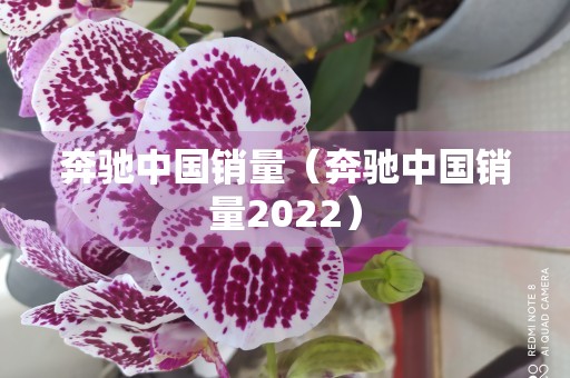 奔驰中国销量（奔驰中国销量2022）