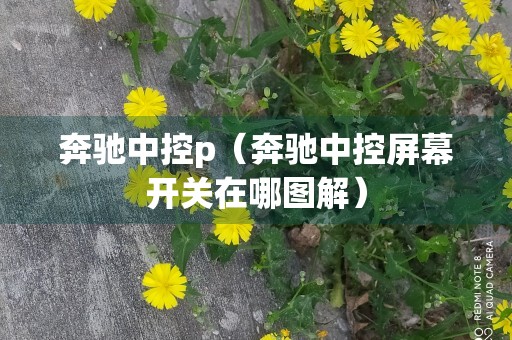 奔驰中控p（奔驰中控屏幕开关在哪图解）