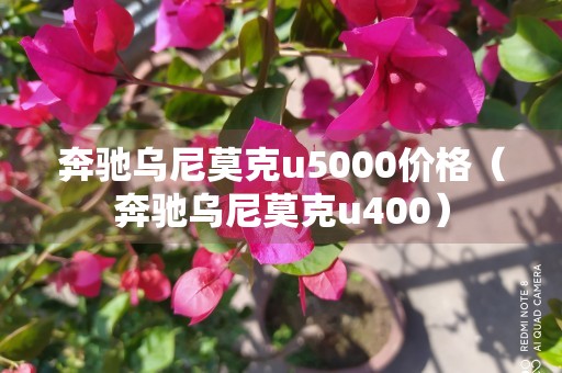 奔驰乌尼莫克u5000价格（奔驰乌尼莫克u400）