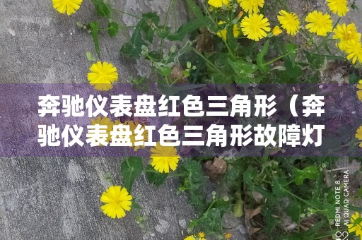 奔驰仪表盘红色三角形（奔驰仪表盘红色三角形故障灯）