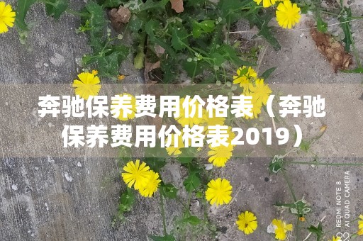 奔驰保养费用价格表（奔驰保养费用价格表2019）