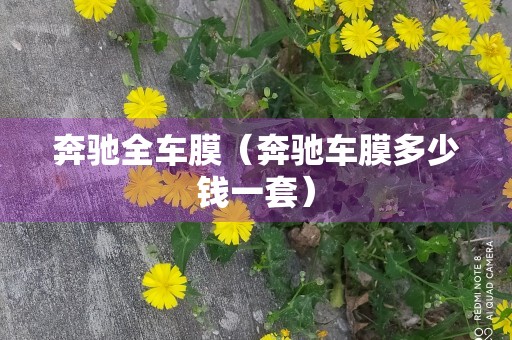 奔驰全车膜（奔驰车膜多少钱一套）