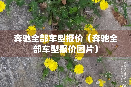 奔驰全部车型报价（奔驰全部车型报价图片）