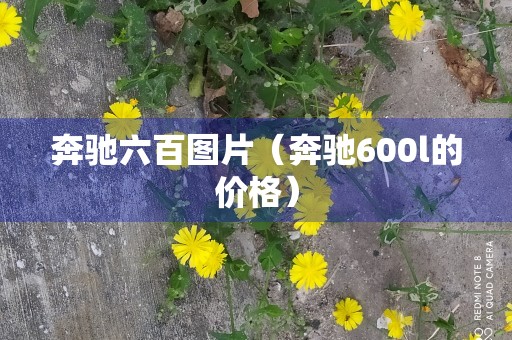 奔驰六百图片（奔驰600l的价格）