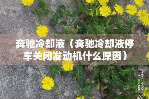 奔驰冷却液（奔驰冷却液停车关闭发动机什么原因）