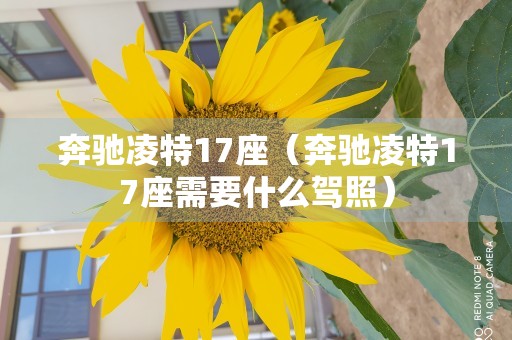 奔驰凌特17座（奔驰凌特17座需要什么驾照）