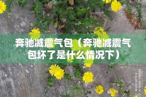 奔驰减震气包（奔驰减震气包坏了是什么情况下）