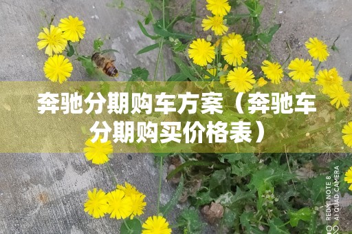 奔驰分期购车方案（奔驰车分期购买价格表）