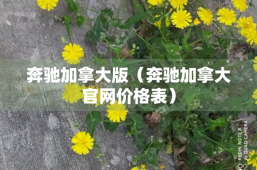 奔驰加拿大版（奔驰加拿大官网价格表）