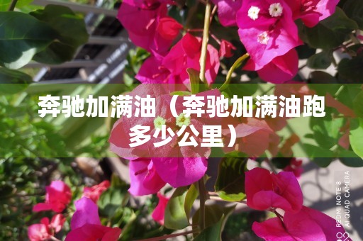 奔驰加满油（奔驰加满油跑多少公里）