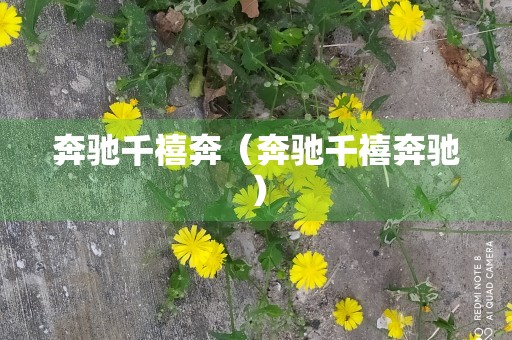 奔驰千禧奔（奔驰千禧奔驰）