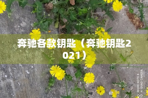 奔驰各款钥匙（奔驰钥匙2021）