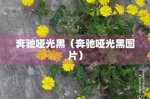 奔驰哑光黑（奔驰哑光黑图片）