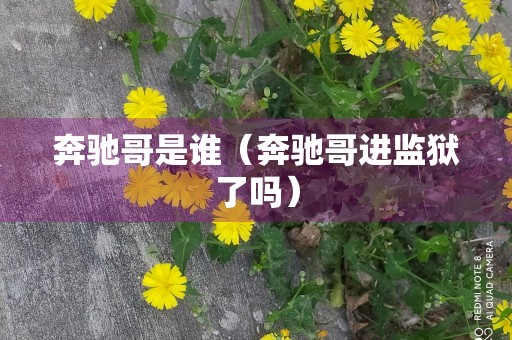 奔驰哥是谁（奔驰哥进监狱了吗）