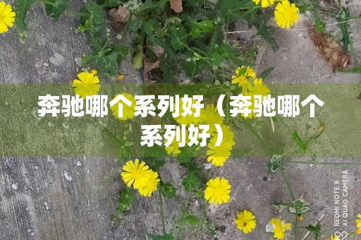 奔驰哪个系列好（奔驰哪个系列好）