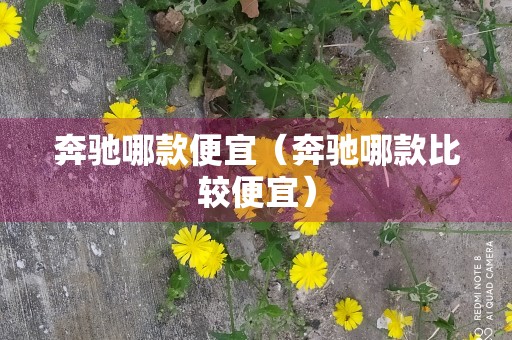 奔驰哪款便宜（奔驰哪款比较便宜）