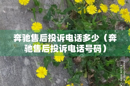 奔驰售后投诉电话多少（奔驰售后投诉电话号码）