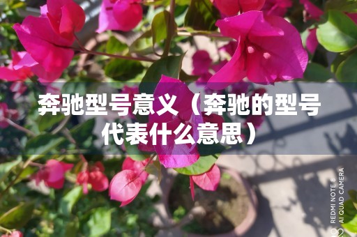 奔驰型号意义（奔驰的型号代表什么意思）