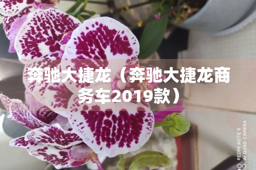 奔驰大捷龙（奔驰大捷龙商务车2019款）