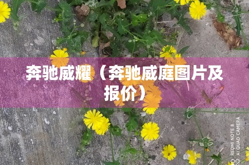 奔驰威耀（奔驰威庭图片及报价）