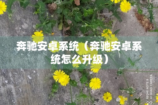 奔驰安卓系统（奔驰安卓系统怎么升级）