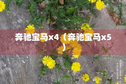 奔驰宝马x4（奔驰宝马x5）