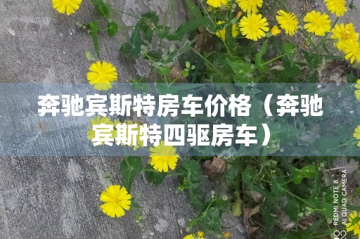 奔驰宾斯特房车价格（奔驰宾斯特四驱房车）