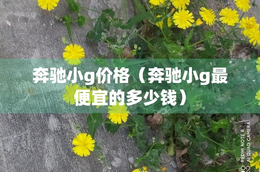 奔驰小g价格（奔驰小g最便宜的多少钱）