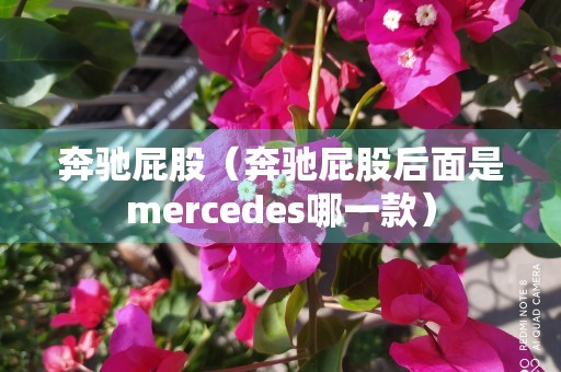 奔驰屁股（奔驰屁股后面是mercedes哪一款）