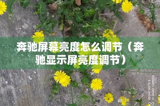 奔驰屏幕亮度怎么调节（奔驰显示屏亮度调节）