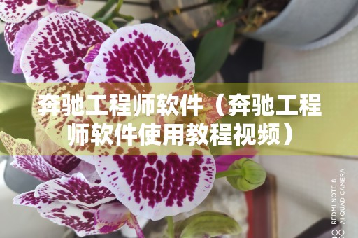 奔驰工程师软件（奔驰工程师软件使用教程视频）