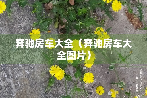 奔驰房车大全（奔驰房车大全图片）