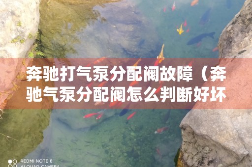 奔驰打气泵分配阀故障（奔驰气泵分配阀怎么判断好坏）