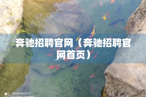 奔驰招聘官网（奔驰招聘官网首页）