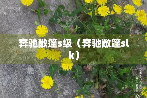 奔驰敞篷s级（奔驰敞篷slk）