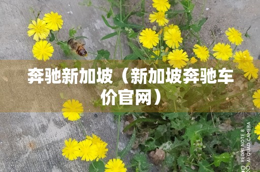 奔驰新加坡（新加坡奔驰车价官网）