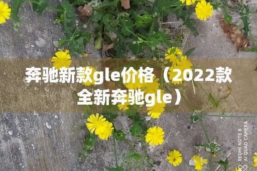 奔驰新款gle价格（2022款全新奔驰gle）