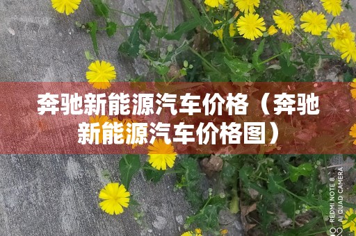 奔驰新能源汽车价格（奔驰新能源汽车价格图）