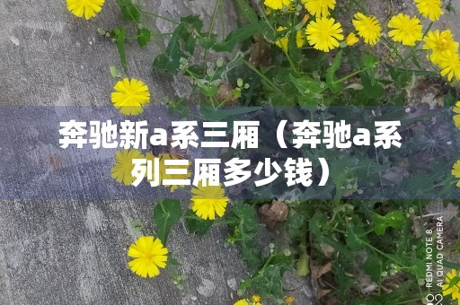 奔驰新a系三厢（奔驰a系列三厢多少钱）