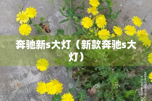 奔驰新s大灯（新款奔驰s大灯）