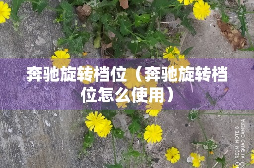 奔驰旋转档位（奔驰旋转档位怎么使用）