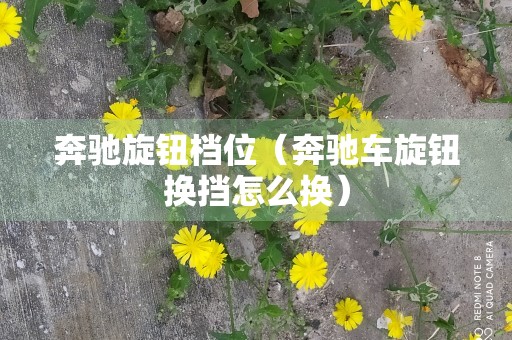 奔驰旋钮档位（奔驰车旋钮换挡怎么换）