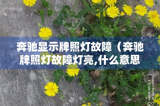 奔驰显示牌照灯故障（奔驰牌照灯故障灯亮,什么意思啊）