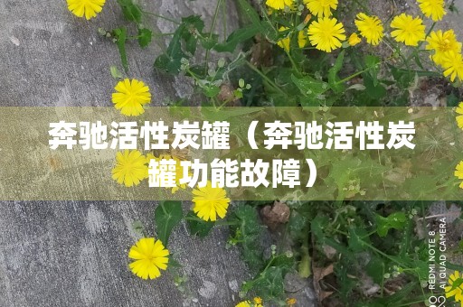 奔驰活性炭罐（奔驰活性炭罐功能故障）